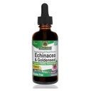 Luonnon vastaus Enchinacea & Goldseal 