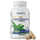 Natural Cure Labs Premium Andrographis Paniculata Extract 1,200 mg kanssa 100 mg Andrographolides Vegaani kapselit immuuni- ja ruoansulatuskanavan tukea, ei-GMO, gluteeniton, kasviperäisiä ravintolisä