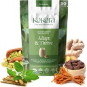 Adapt & Thrive - Energy & Stress Resilience, Organic Ashwagandha & Cordyceps Blend tukea terve lisämunuaisen toiminto kahvi Vaihtoehtoinen