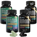 Boysea. Shilajit and Sea Moss Bundle- 90 Count - Sea Moss, Black Seed Oil, Ashwagandha, Ginger & Shilajit, Rhodiola Rosea, Kaikki 1 täydentää (2 Pc)