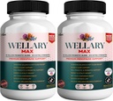 Wellary Max Menopause Support Supplement, 40 miljardia PMY Probiootti Blend, 90 kapselia (2)