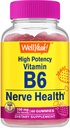 WellYeah High Potency B6-vitamiini Gummies - Edistää hermojen terveyttä, kognitiivisia toimintoja, mielialan sääntelyä, immuuni tukea ja kardiovaskulaarisia terveyttä - Vegan, ei-GMO, Gluteeniton - 60