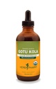 Herb Pharm Certified Organic Gotu Kola Liquid Extract muskuloskeletal System Support - 4 Ounce