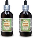 Muira Puama (Ptychopetalum Olacoides) Glyseriitti, orgaaninen alkoholiton nesteuute (Brandin nimi: HerbalTerra, ylpeänä valmistettu Yhdysvalloissa) 2x4 fl.oz (2x120 ml)