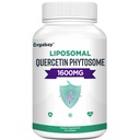 Orgabay Liposomal Quercetin Phytosome 1600 mg,Bromelain 200 mg,Zinc 30 mg,Vitavan C Turmeric 40 mg,Korkein imeytyminen,Quercetin Complex, 60 Softgels
