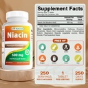 Best Naturals Niacin 500mg 250 tablettia, joissa punoitus - myös kutsutaan B3-vitamiini (250 laatikko 2)