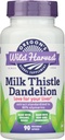 Oregon's Wild Harvest Milk Thistle Voikukka - uute Standardoitu 80% Silymarins (90 kapselia)