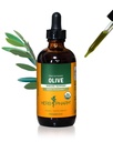 Herb Pharm Certified Organic Olive Leaf Liquid Extract for Immunet System Support, 4 Fl Oz