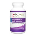 Wellness Resources Daily Prenatal Multi-vitamiini - Methylated Folaatti Sinkki Rauta Bisglysinaatti Koliini & Key Nutrients - Luonnollinen syntymän jälkeinen syntymän jälkeen vitamiineja naisille - 120 Caps