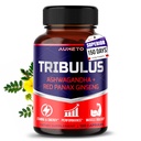 Tribulus Terrestris 98% Saponins - Parannetut 12-in-1 Formula Yohimbine, Red Panax Ginseng, Ashwagandha Boosting Energy, Stamina & Endurance* - Valmistettu Yhdysvalloissa