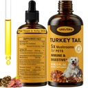 Turkey Tail Mushroom koirille - nopeampi imeytyminen 2000mg Turkey Tail Mushroom Immuuni & Ruoansulatus-, nivel-, energia-, 5X Sienet Lemmikki Drop Turmeric & Probiootti - Vet Formulated, 90 ML/3FL.oz