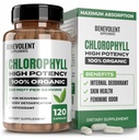 Benevolent klorofyllikapselit 350mg - 100% Natural + Ultraklorofylli 20x Tehopitoisuus energiatehostaa, Immuunituki, sisäinen deodorantti, ihon terveys, non-GMO, 120 kapselia