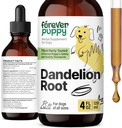 Ikuisesti Pentu Voikukka Root Drops koirille - Liquid Liver Health Supplement suurille, keskisuurille ja pienille koirille - Maksan Cleanse Detox Drops w/Dandelion juuriuute - 4 oz