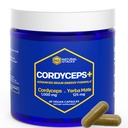 Cordyceps Mushroom Capsules - 1000mg Cordyceps Extract & 125 mg Yerba Mate Extract - 100% hedelmäksi Body Mushroom Supplement - tukee aivojen energia & kognitiivinen suorituskyky - 60 Yerba Mate Kapselit
