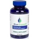 Berberiini maito Thistle 500 mg Formula HCL Complex täydentää Silymarin parempaan imeytymiseen, 90 kasvissyöjä kapselit, 1 pullo, yleinen terveystuki