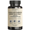 VINATURA Caralluma Fimbriata, EGCG 45% Extract 1250mg + Fucoxanthin 3mg per Serving *USA Made & Tested * for Immuunituki, energia ja henkinen Focus - 60 kapselia 30 palvelinta