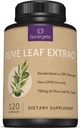 Premium Olive Leaf Extract kapselit ... Standardoitu 20% Oleuropein Super Strength Olive Leaf Tarkka täydentää tukee Immuunijärjestelmän ja sydän-ja verisuonitautien terveys ... 750 mg per kapseli 120 kapselia