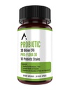 Ascendant Nutrition Bacillus Subtilis Probiootti - 30 miljardia PMY Multi-Strain Probiootit naisille ja miehille - Tukee ruoansulatusta ja Gut Health - 30 kapselia