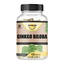 Ginkgo Biloba 1800mg, Ginkgo Biloba Organic, Memory & Brain Function Tuki, parantaa keskittymistä ja kognitiivista tukea, selkeys, 120 kasviskapselit, ei GMO, 120Kaps