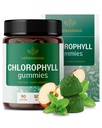 HERBAMA klorofylli Detox Gummies - 50 mg Natrium kupari klorofyllin Sisäinen deodorantti Body Odor Support - Vegan, ei-GMO-antioksidantti täydentää - 90 Pektiini-Based Apple-Flavored Chews