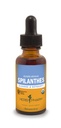 Herb Pharm Certified Organic Spilanthes Liquid Extract puhdistus- ja detoxification - 1