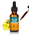Herb Pharm Certified Organic Mullein Blend Liquid Extract hengitysjärjestelmän tukea - 1 Ounce