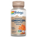SOLARAY Fermented Cordyceps Mushroom 1000 mg - Terveellinen energia tuki - Fermented parantaa imeytymistä - Vegaani, ei-GMO, Lab Varmennettu - 30 Servings, 60 VegCaps