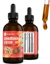 360 Nutrition Ashwagandha & Reishi juurilisää Drops stressin lievittämiseen, kestävyys ja pitkäikäisyys, ja energiatuki - Vegan ei-GMO Adaptogenic - 4 fl oz, 60 tarjoilua