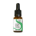 Etsiminen Health Lactase Drops - Liquid Supplement with Lactase Enzyme for Dairy Intolerance Support - Intolerance Support for Digestion - Lactase Enzyme Supplement - 0,50 Fl oz, 52 Servings
