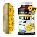 BIO KRAUTER Mullein kapselit 1200 mg 250 Count - Pure Vegan Mellein Leaf Extract for Keuhkot - 125 päivän tarjonnan - Lung Cleanse & hengitysteiden tuki täydentää - Ei täyteaineita, ei GMO