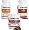 Real Sienet Reishi & Cordyceps for Humans & Sienet Lemmikki Rentoudu Chews - Bundle rentoutumista, energia & Immuniteetti - Vegan, ei-GMO, Gluteeniton, Grain-vapaa sieniuute lisäravinteet