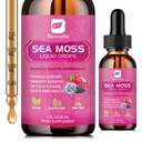 Sea Moss Liquid Drops - Organic Black Seed Oil Irish Sea Moss Gel Burdock Root, rakkoranneke, Elderberry, C-vitamiini, D3, 6X vahvempi Seamoss Gel Ruoansulatus, hiusten terveys - Vegan