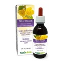 Naturalma Suuri Mullein tai Yhteinen Mullein (Verbascum Thapsus) Kukka ja Lehti Alkoholiton Tincture - 4 fl oz Liquid Extract tippa - Kasviperäisten täydentää - Vegan