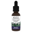 Isäntäpuolustus Sienet Leijonan mane Extract - Leijonan Mane Liquid Supplement Brain Health - Mushroom tuki Focus & Memory Function - Immuuni- ja hermostotuki - 1 fl oz (30 palvelinta) *