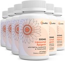 Liposomal apigenin 500 mg Softgels - Optimal Apigenin täydentää Fisetin, Quercetin ja Theafliinin - 12 kuukauden tarjonta