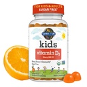 Life Kids Organic D3-vitamiini Gummie 800 IU (100% päivittäinen arvo) vahva luut, hampaat, aivot ja immuniteetti Ei-GMO, Ei gluteenia, kasvissyöjä, sokeriton, oranssi maku, 60 tarjoilua