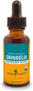 Herb Pharm Grindelia Liquid Extract hengitysjärjestelmän tukea - 1 Ounce (DGRIND01)