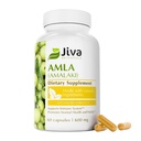 Jiva Botanicals Amla kapselit (Amalaki) - 60 Vegan kapselit - Amla Powder - Intian karviaismarja täydentää elinvoimaa