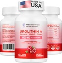 Urolitiini A Supplement 1400 MG - ei-GMO, gluteeniton, anti-aging, solun uusiutuminen, lihasvoima, endurance & Longevity Support, liposomaalinen Urolitiini A, 60