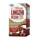 LABO Nutrition Bioactive Organic Lingzhi Reishi Ultra 7 Mushroom Extract Supplement Reishi Cordyceps Maitake Turkey Tail Agaricus blazei Murill Shiitake for Immuunituki, Vitality, USDA Organic