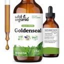 Wild & Organic Goldenseal Tincture - Lung & Dgestive Support - Goldenseal juuriuute Liquid Drops - Vegan, Sokeri & Alkoholiton Herb Supplement - 4 fl oz
