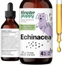 Ikuisesti Pentu Echinacea Drops koirille - Immuniteetti tuki & hengitysteiden terveys w / Echinacea Herb Extract - Liquid Immuuni tuki täydentää koirille kaikki rodut & koko - 4 oz