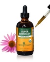 Herb Pharm Certified Organic Super Echinacea Liquid Extract aktiivisen immuunijärjestelmän tukea - 4 Oz