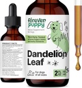 Ikuisesti Pentu Voikukka Leaf Drops koirille - Munuaisten Health Liquid Supplement suurille, keskisuurille ja pienille koirille - Munuaisten Cleanse Detox Drops w/Dandelion Lehdet Tincture - 2 oz