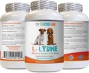 Dog Amino Acid Supplements - koira LYSINE Powder - Puhdas jauhe Form - Immunomy System Support - Vet Suositeltava - lysiini Koirat - 1 pullo (8oz 226.8 Grams)