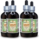Carline Thistle (Carlina acaulis) Glyseriitti, kuivattu juuria Alkoholiton nesteuute (Brandin nimi: HerbalTerra, ylpeästi valmistettu Yhdysvalloissa) 4x4 fl.oz (4x120 ml)