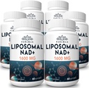 1600 mg liposomaalinen NAD- lisäaine, 98% puhdasta NAD+- lisäainetta, ylivertainen imeytyminen, vaihtoehto Nikotinamidi Ribosidille tai NADH: lle NAD+: lle vanhenemisen varalta, energia, pitkäikäisyys, 360 Softgelia