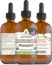 RawGuru Lion's Mane Mushroom Tincture - Vegan Lion's Mane Extract Trace Minerals - Nano-Processed Immuniteetti Boost & Cognitive Supplement - 120 tarjoiluja Vegan Drops / 120 ml, pakkaus 1
