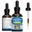 Lemmikkieläinten hyvinvointi Young at Heart for Cats - Vet-Fomulated - Heart Health, Circulatory & Cardiovascular System, Hawthorn, Motherwort, Schisandra - Herbal Supplement 2 oz (59 ml)