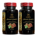 Candida Support Supplement - Ruoansulatuskanavan tuki Pillerit, tukee terve suoliston Flora ja immuunijärjestelmä Tuki digestiivinen Enzyme - 2 pullot 120 kapselia